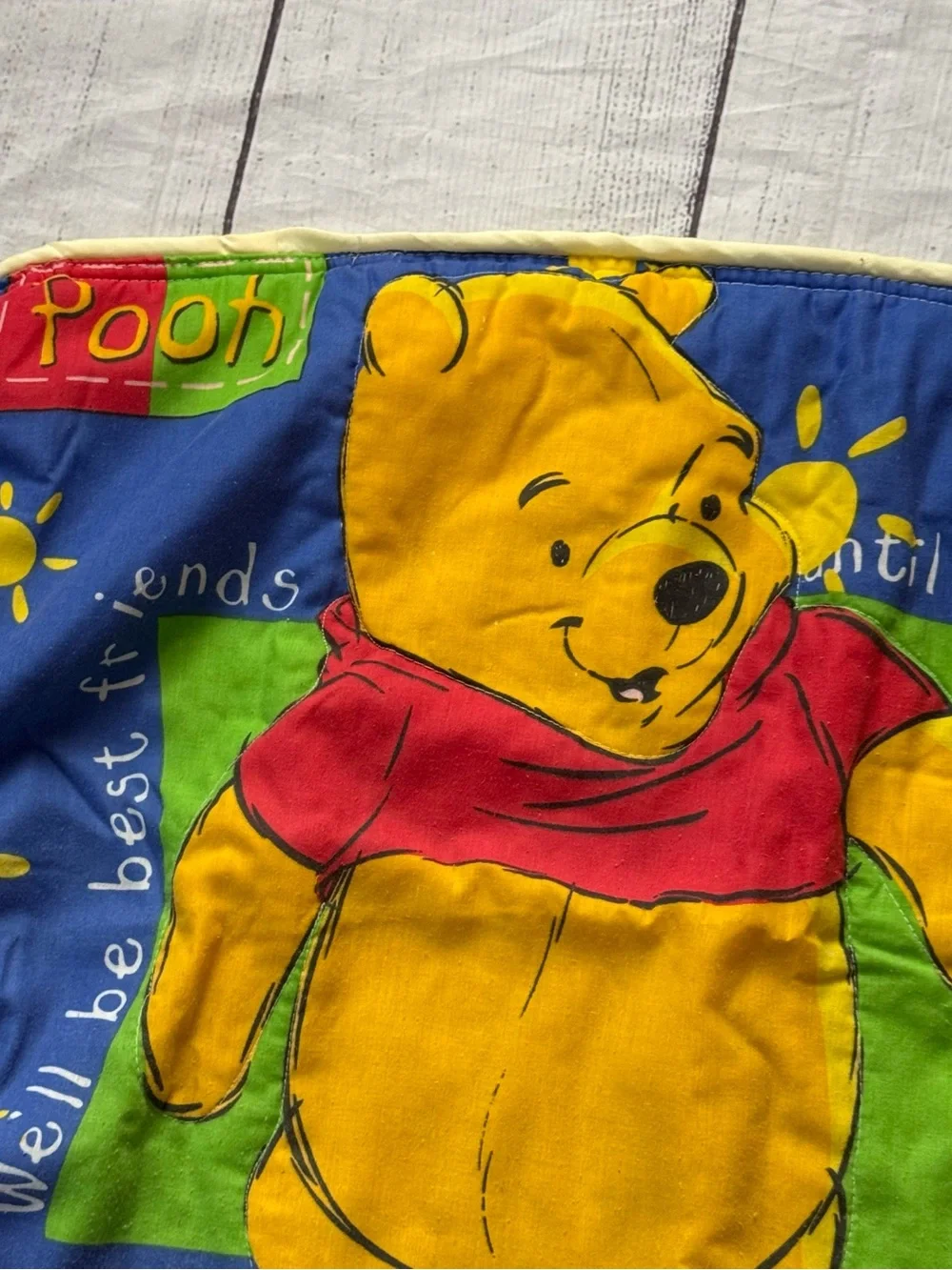 Vintage Disney Winnie the Pooh + Piglet zipper pillow case